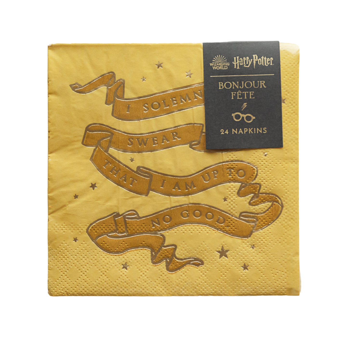 Harry Potter House Pride Small Party Napkins