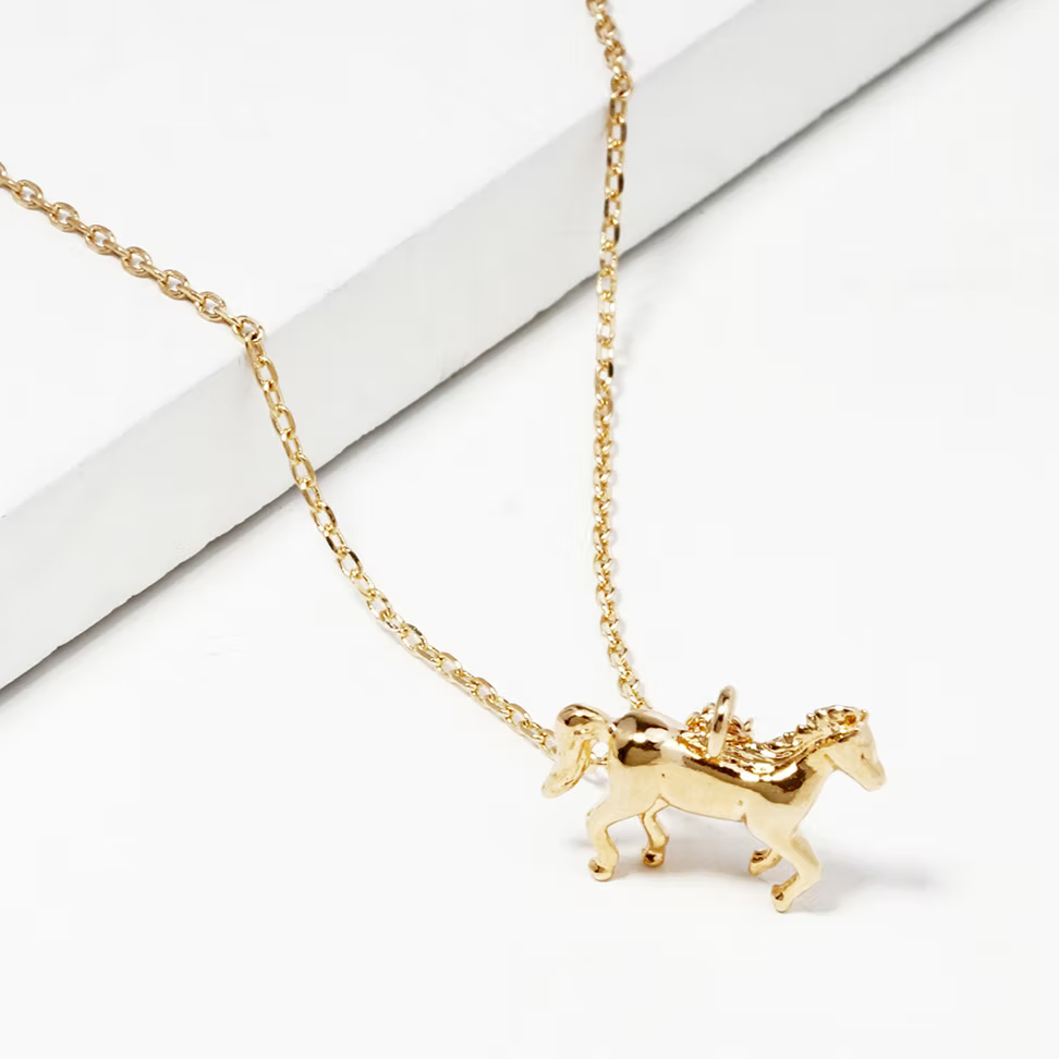 Life In The Saddle Necklace