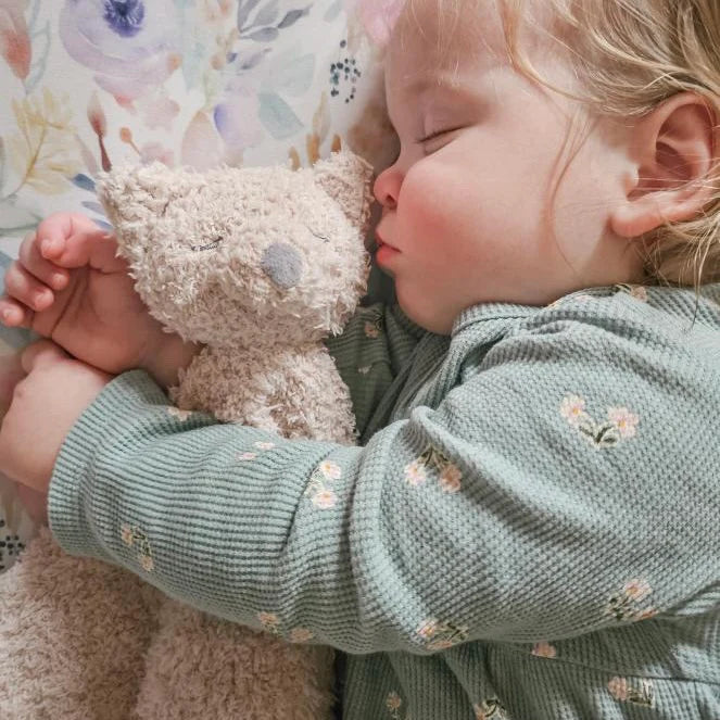 Little Snuggles Lovey | Fox