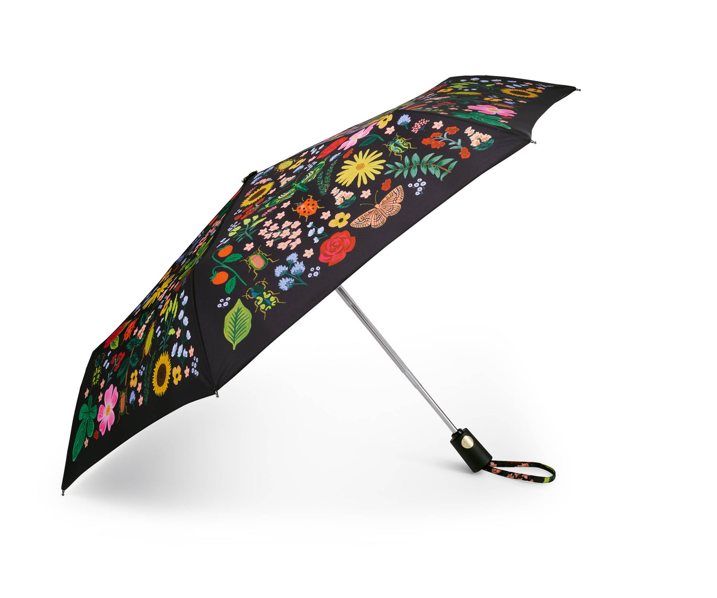 Curio Umbrella