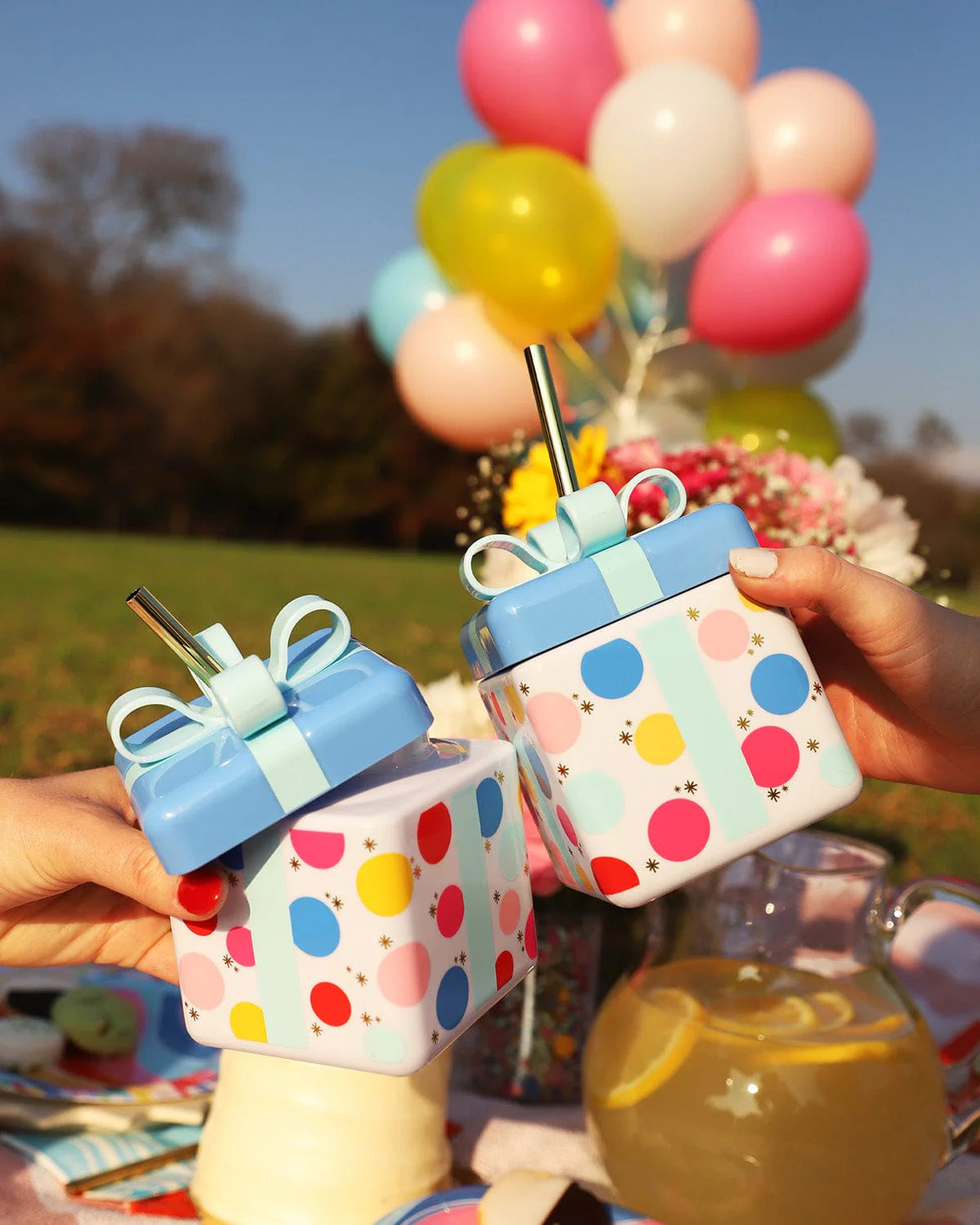 Birthday Gift Reusable Sipper Cup