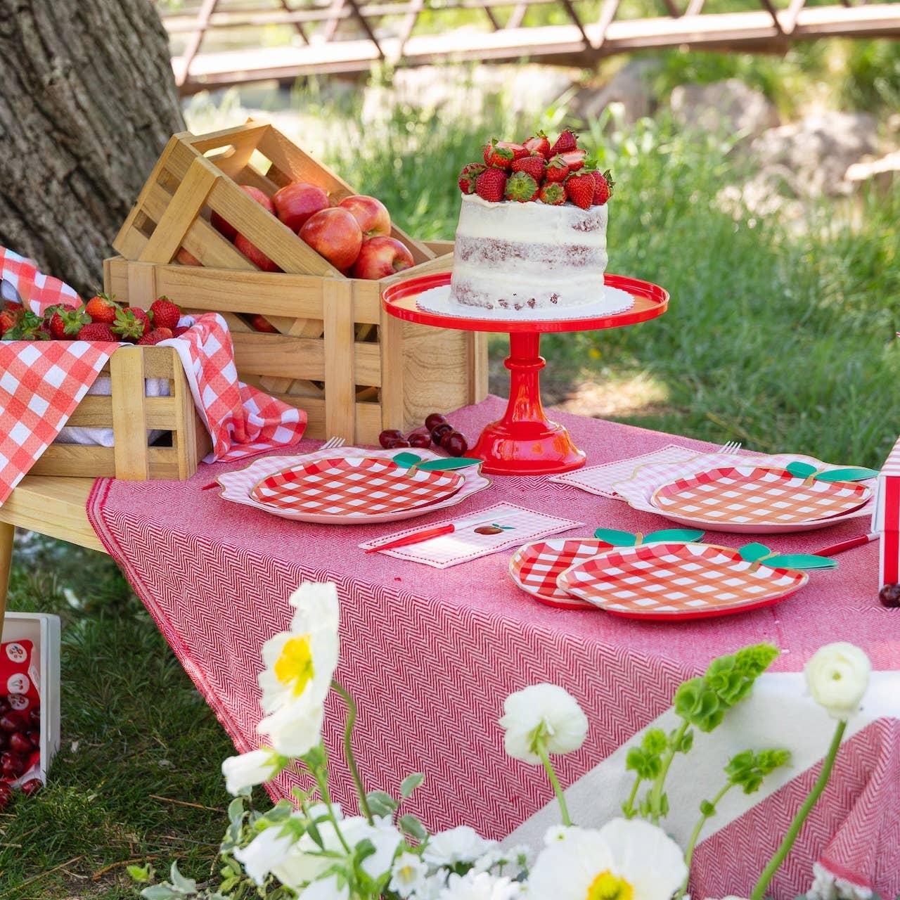 Red Gingham Apple Plates