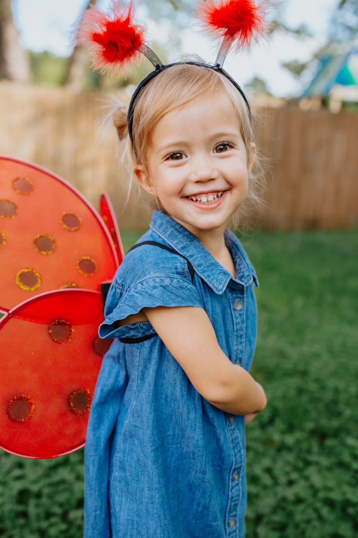 Ladybug Wings & Headband