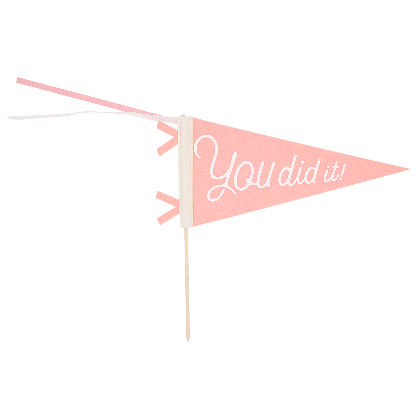 Pink You Did It Felt Pennant Banner