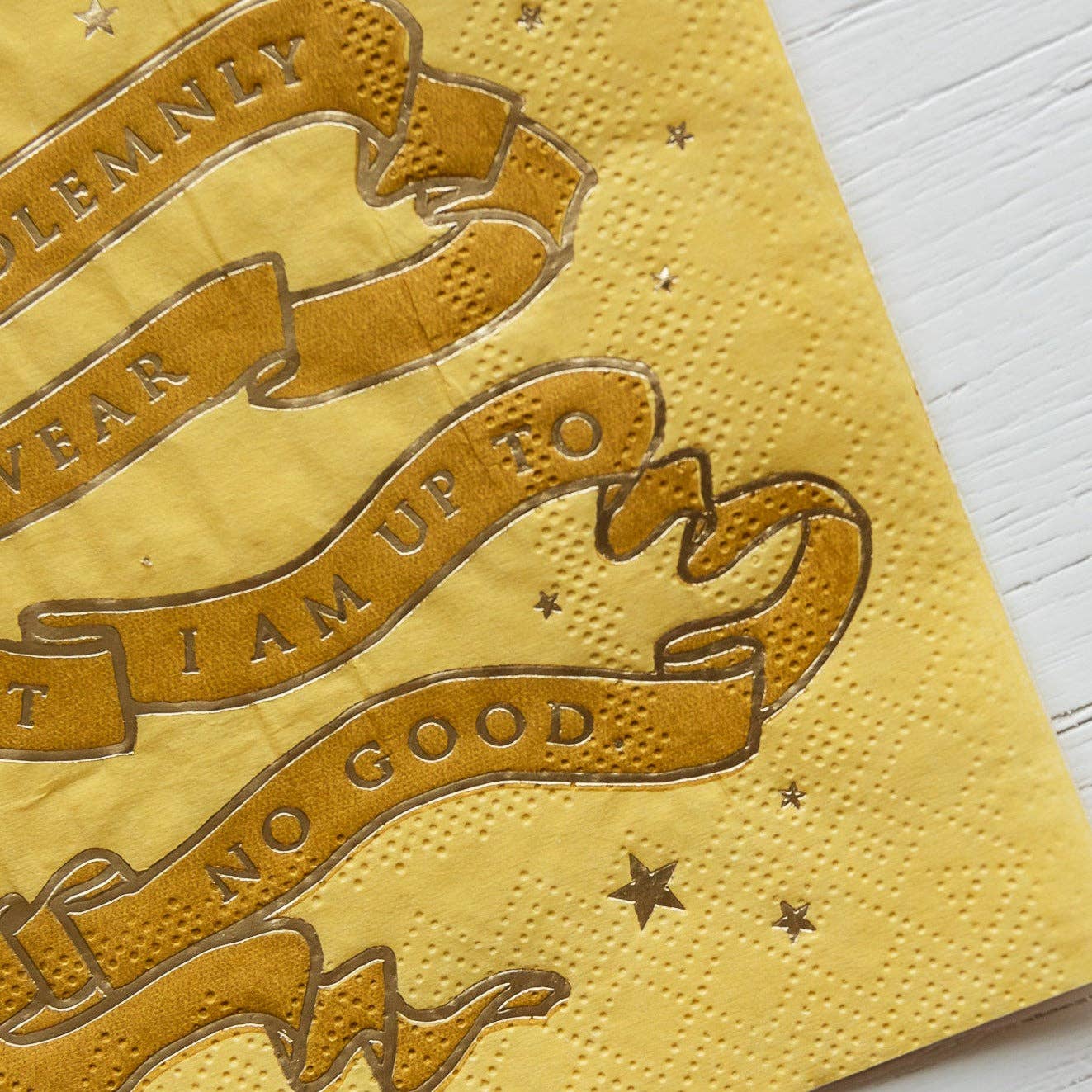 Harry Potter House Pride Small Party Napkins
