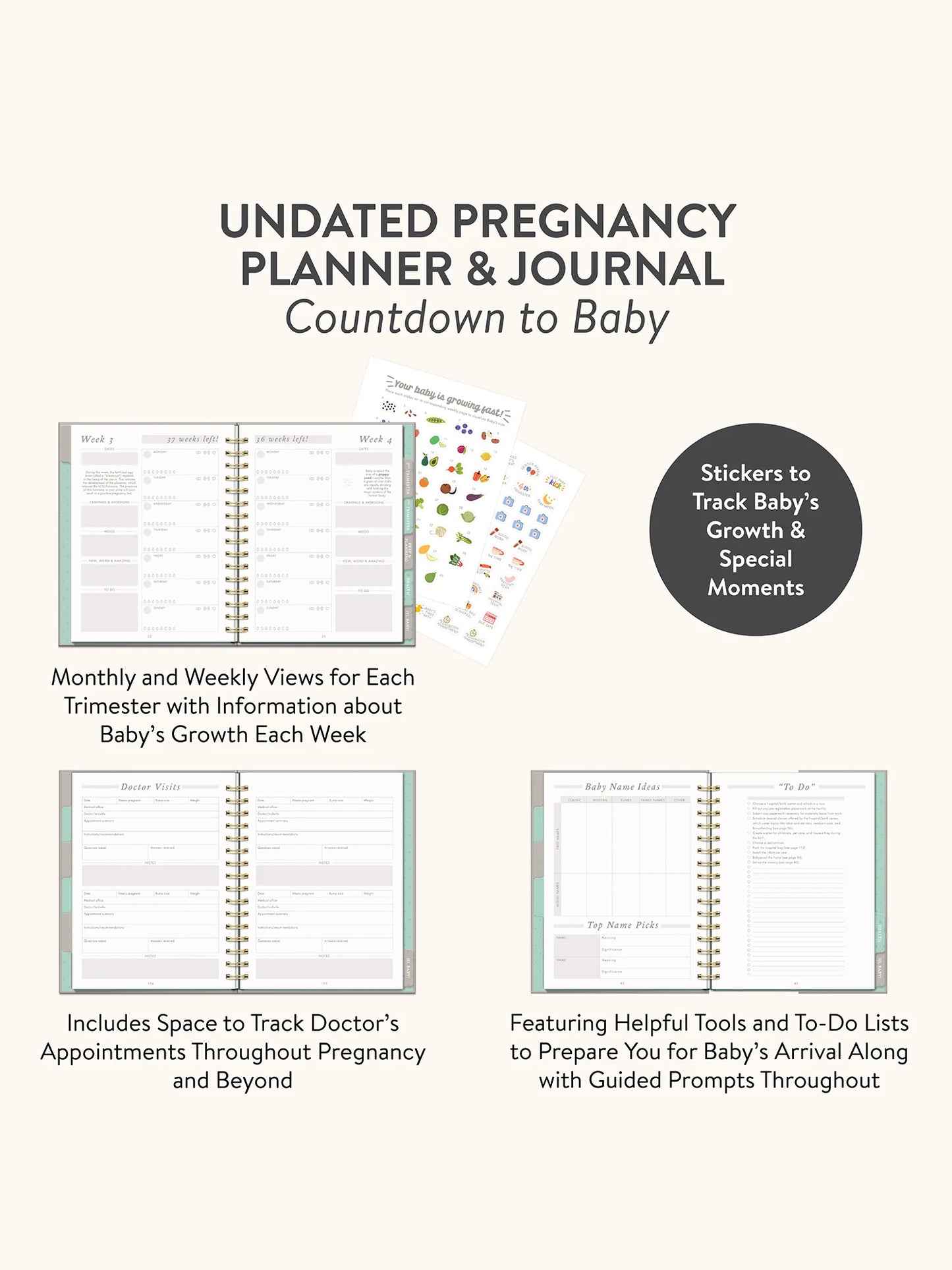 Undated Pregnancy Planner & Journal