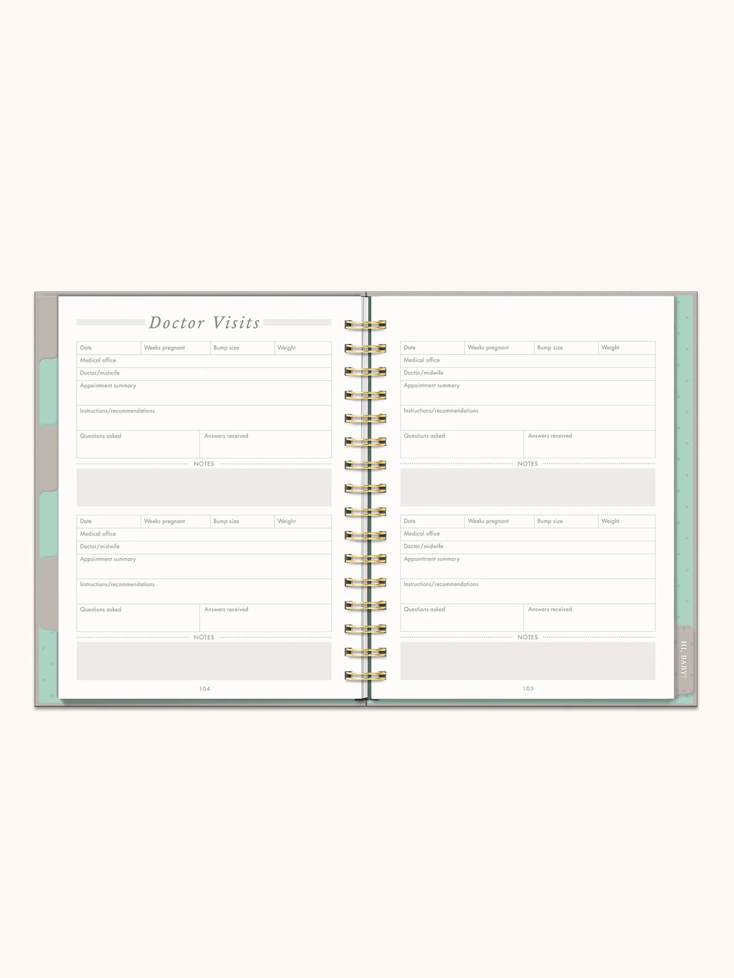 Undated Pregnancy Planner & Journal