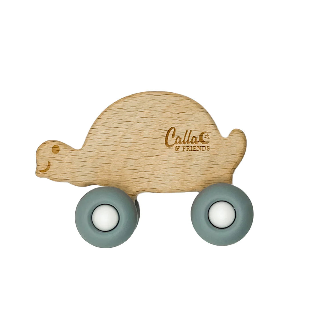 Rollin' Friends | Turtle