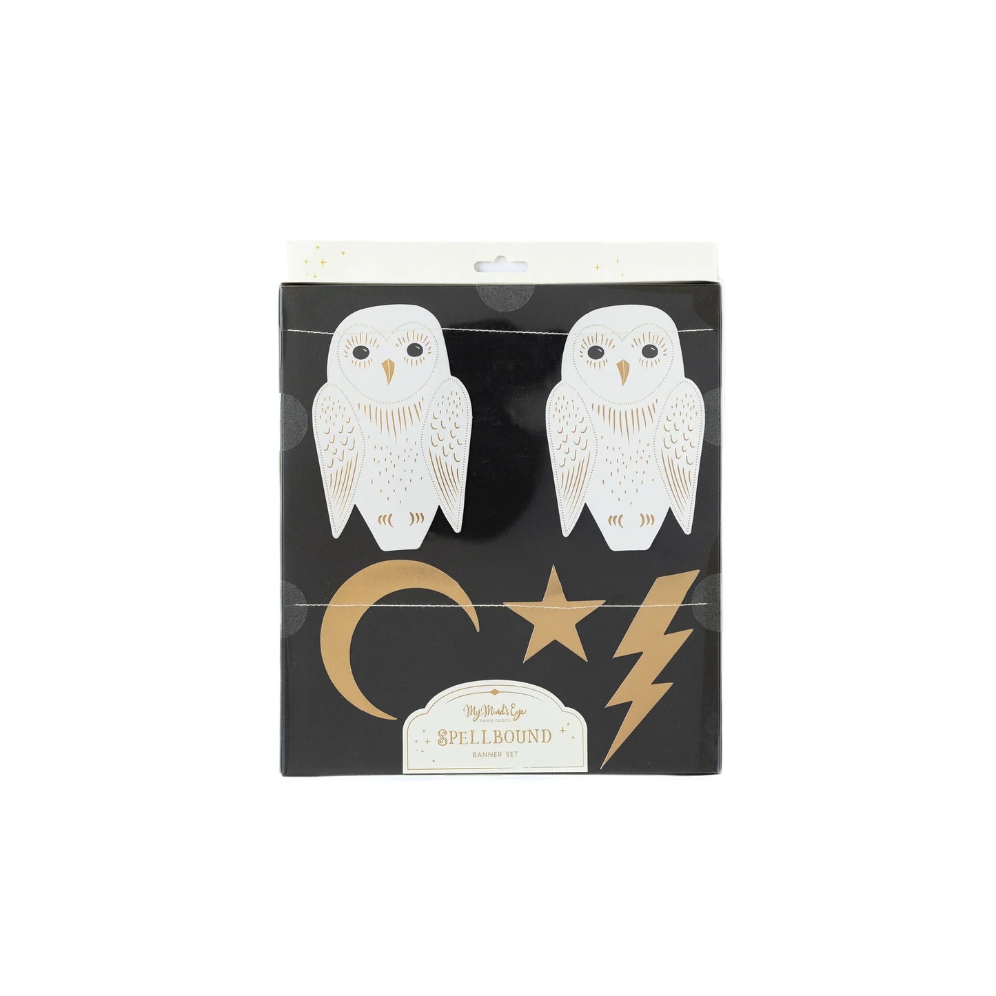 Spellbound Owl & Lightning Banner Set