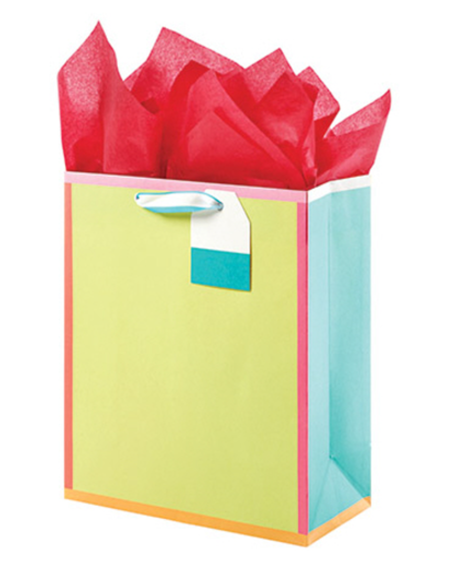 Medium Gift Bag | Brights