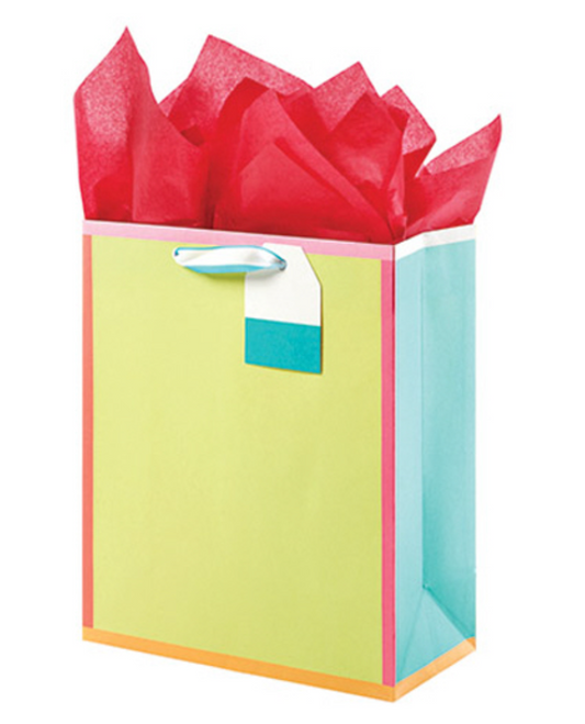 Medium Gift Bag | Brights