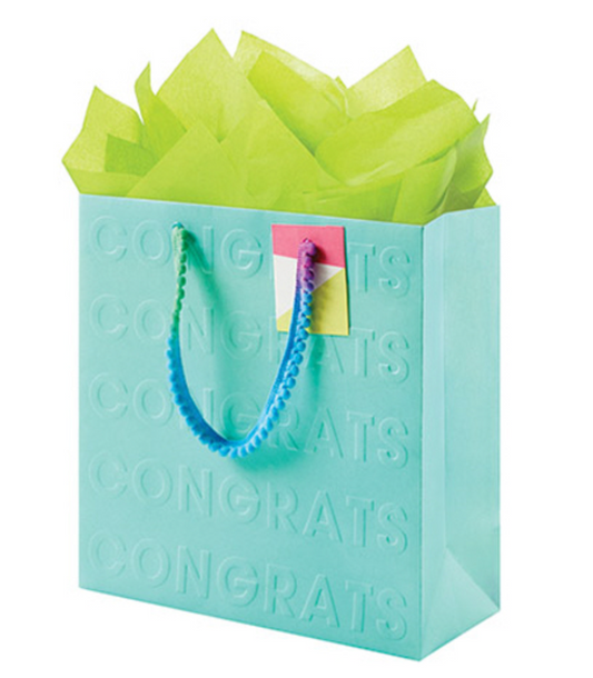 Medium Square Gift Bag | Brights Text