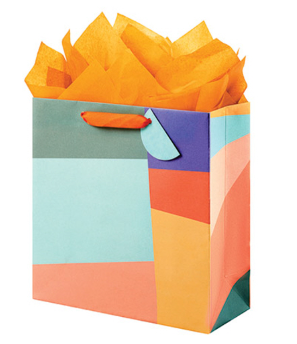 Medium Square Gift Bag | Modern Color