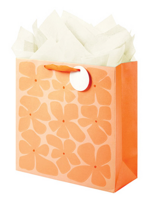 Large Square Gift Bag | Modern Color Floral