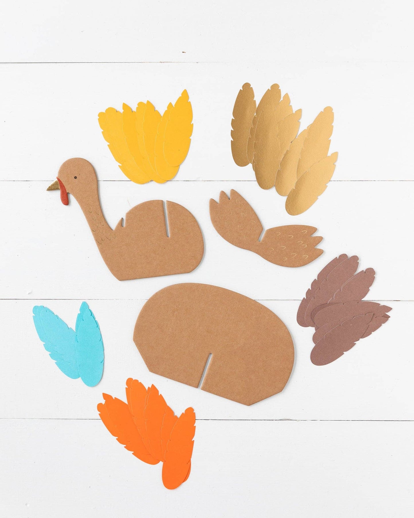 Turkey DIY Project Kit