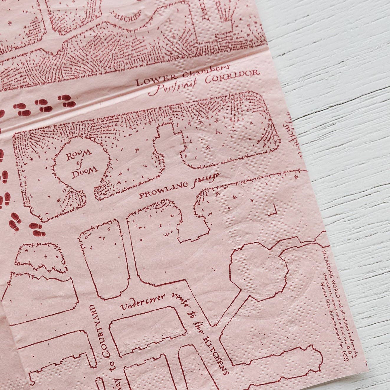 Harry Potter House Pride Small Party Napkins