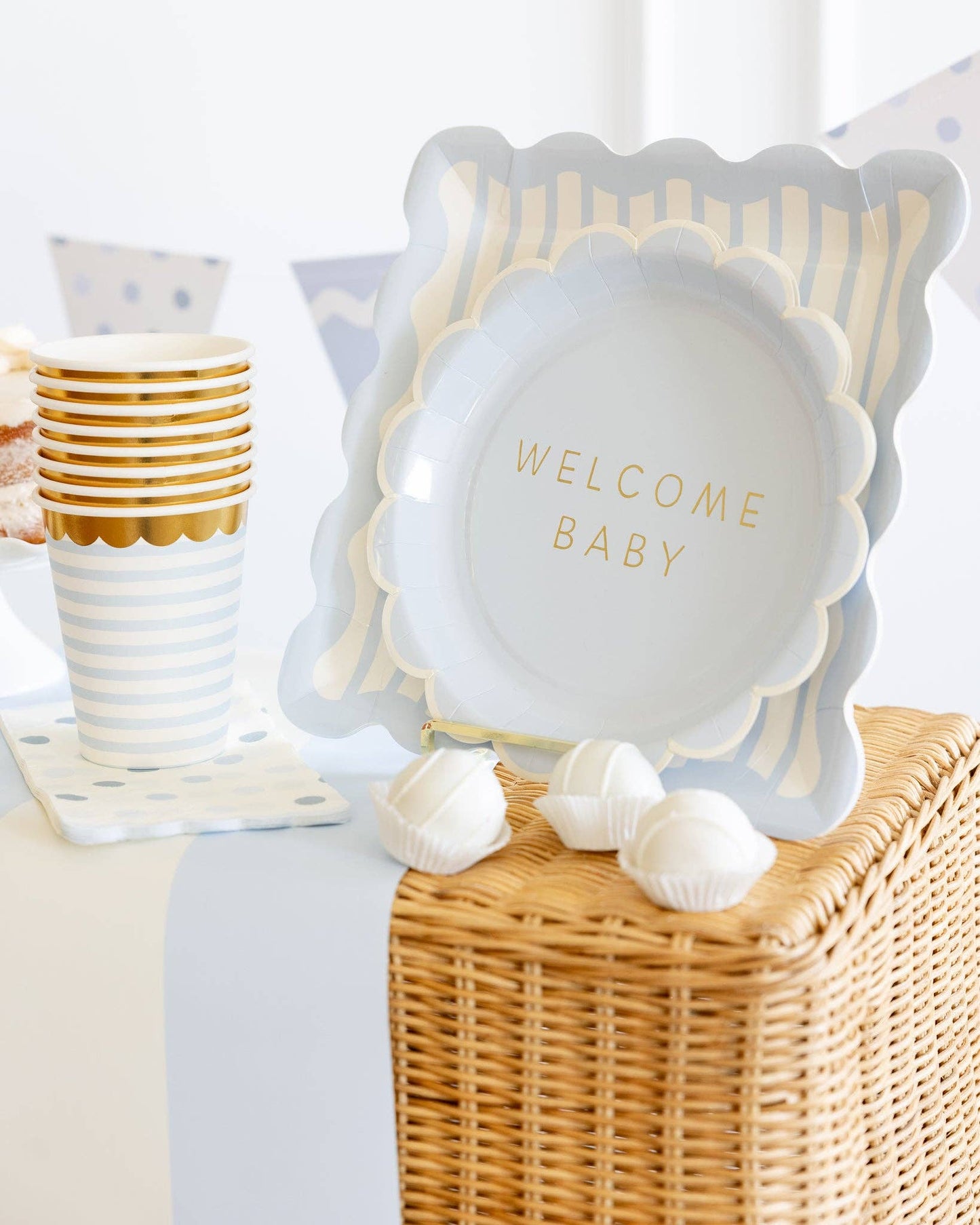 Blue Striped Plate