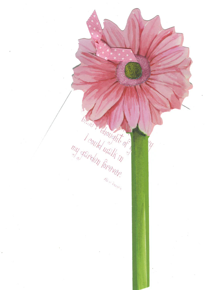 Greeting Card | Pink Gerber Daisy