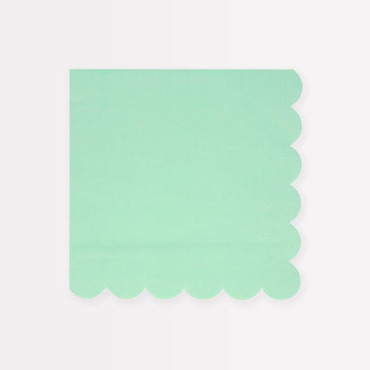 Sea Foam Green Large Napkins